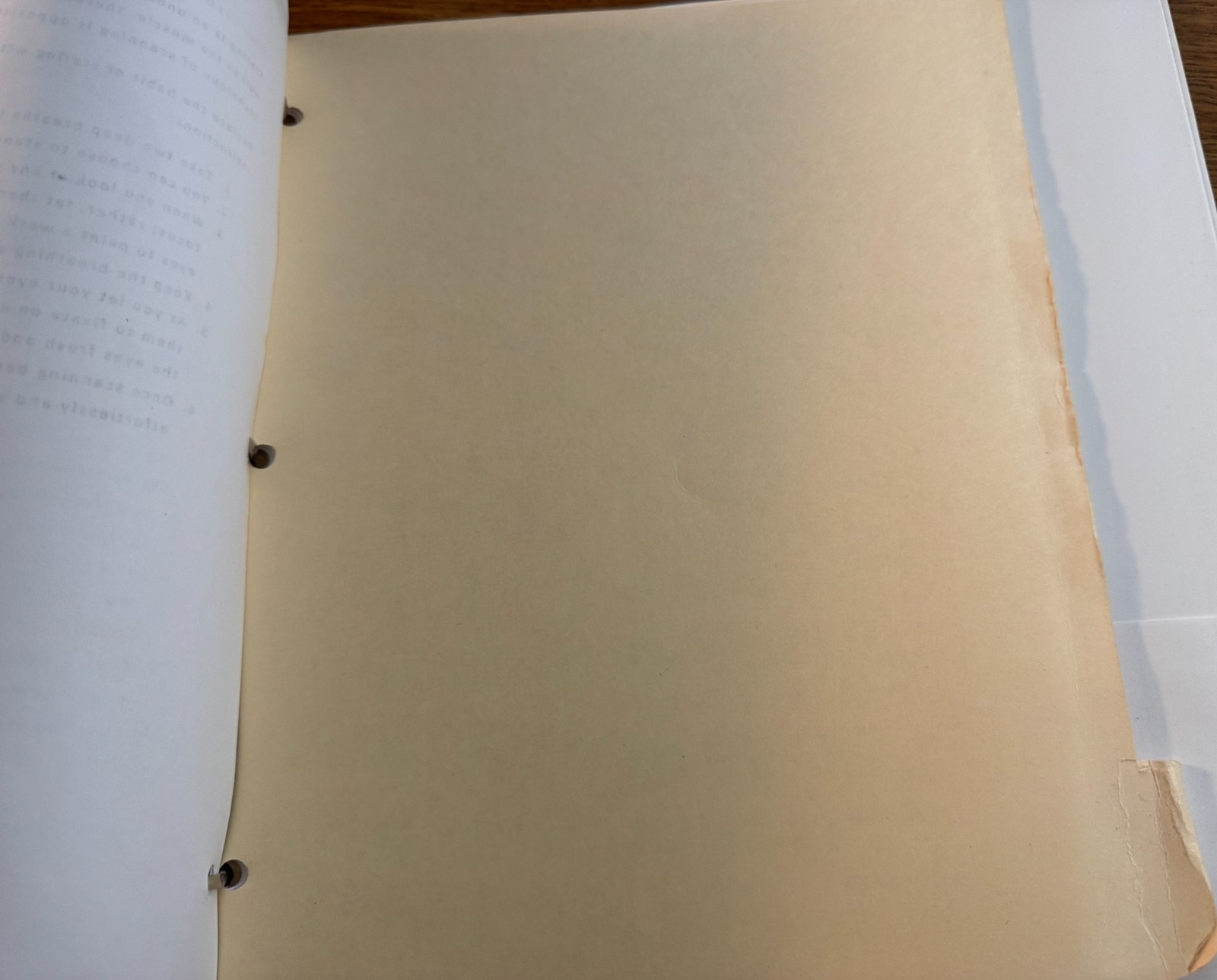 Restoring Vision Naturally * 2014 Binder 150 + pages * Natural Health