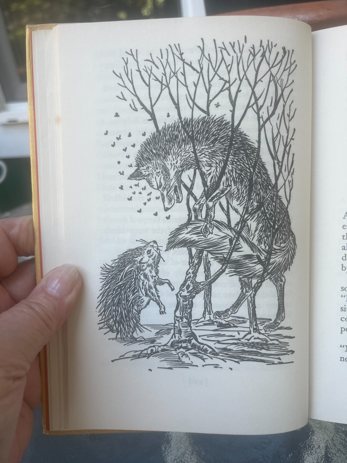 Companion Library Illustrated – AESOP’S FABLES & ARABIAN NIGHTS – 1963