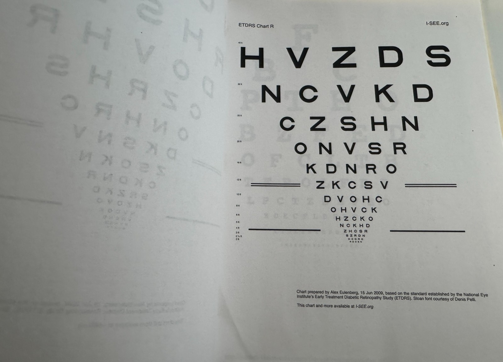 Restoring Vision Naturally * 2014 Binder 150 + pages * Natural Health