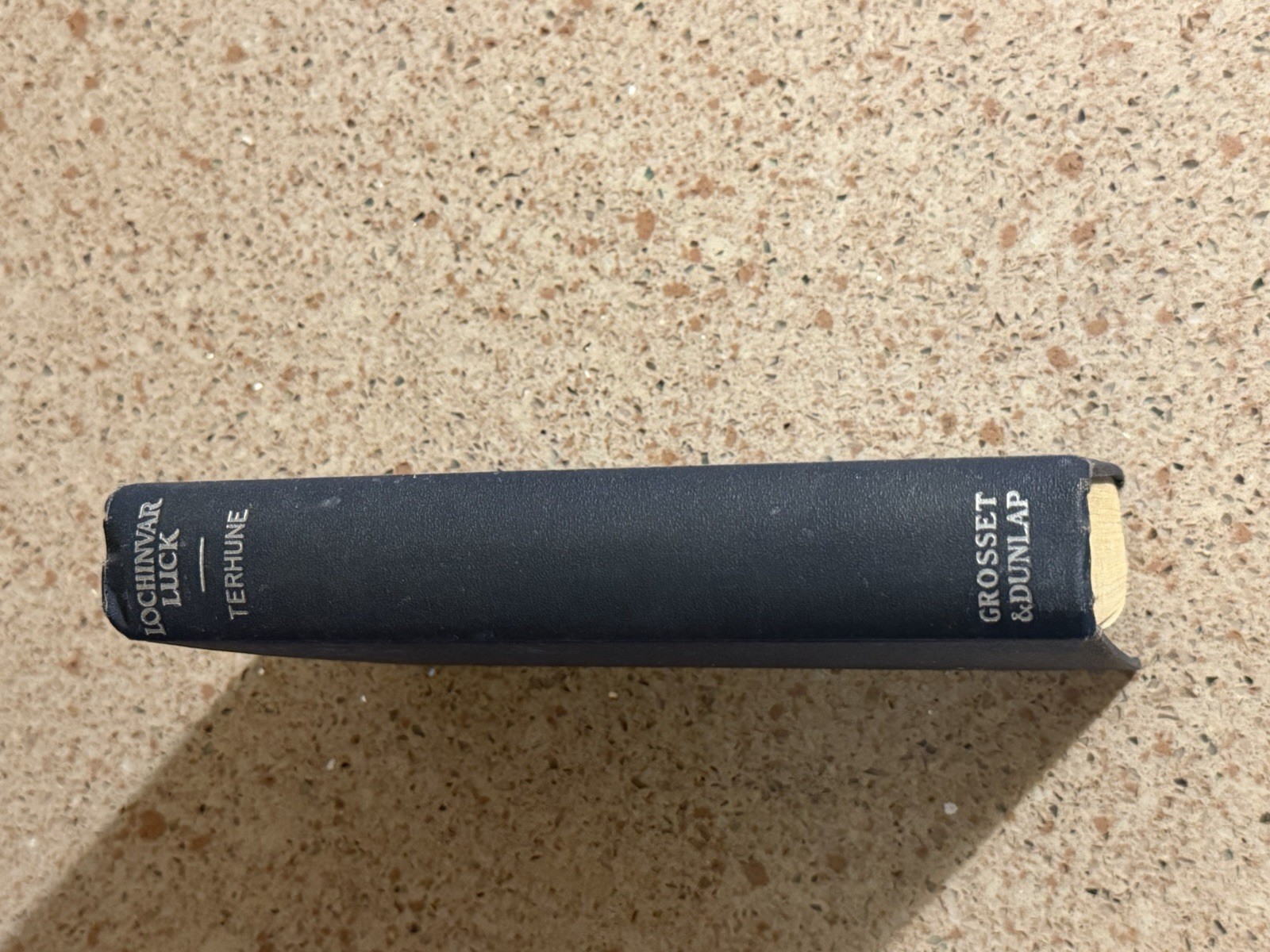 Lochinvar Luck by Albert Payson Terhune Grosset & Dunlap 1923 Hardcover