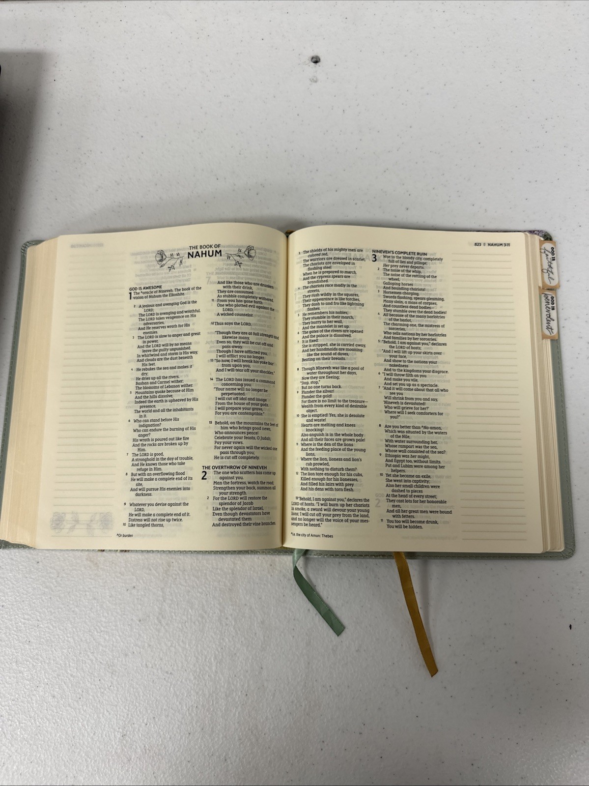 NASB, Artisan Collection Bible, Large Print, Leathersoft, Sage Floral, Red