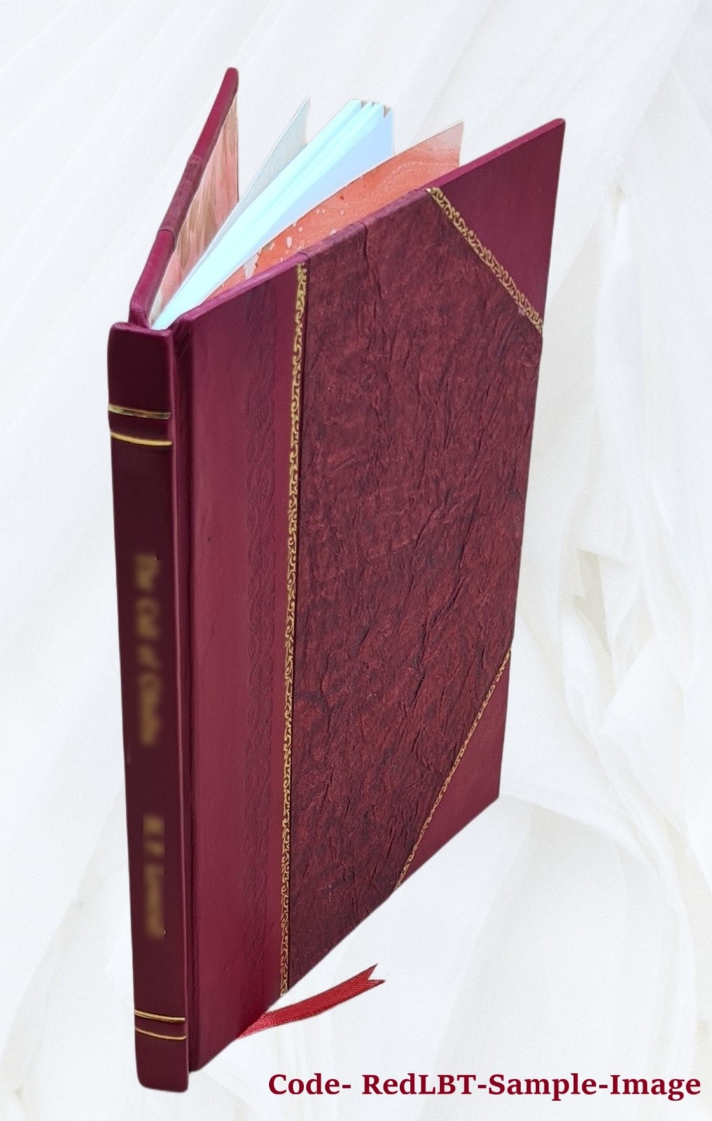 Play And Politics Recollections Of Malaya 1901 [Leather Bound]