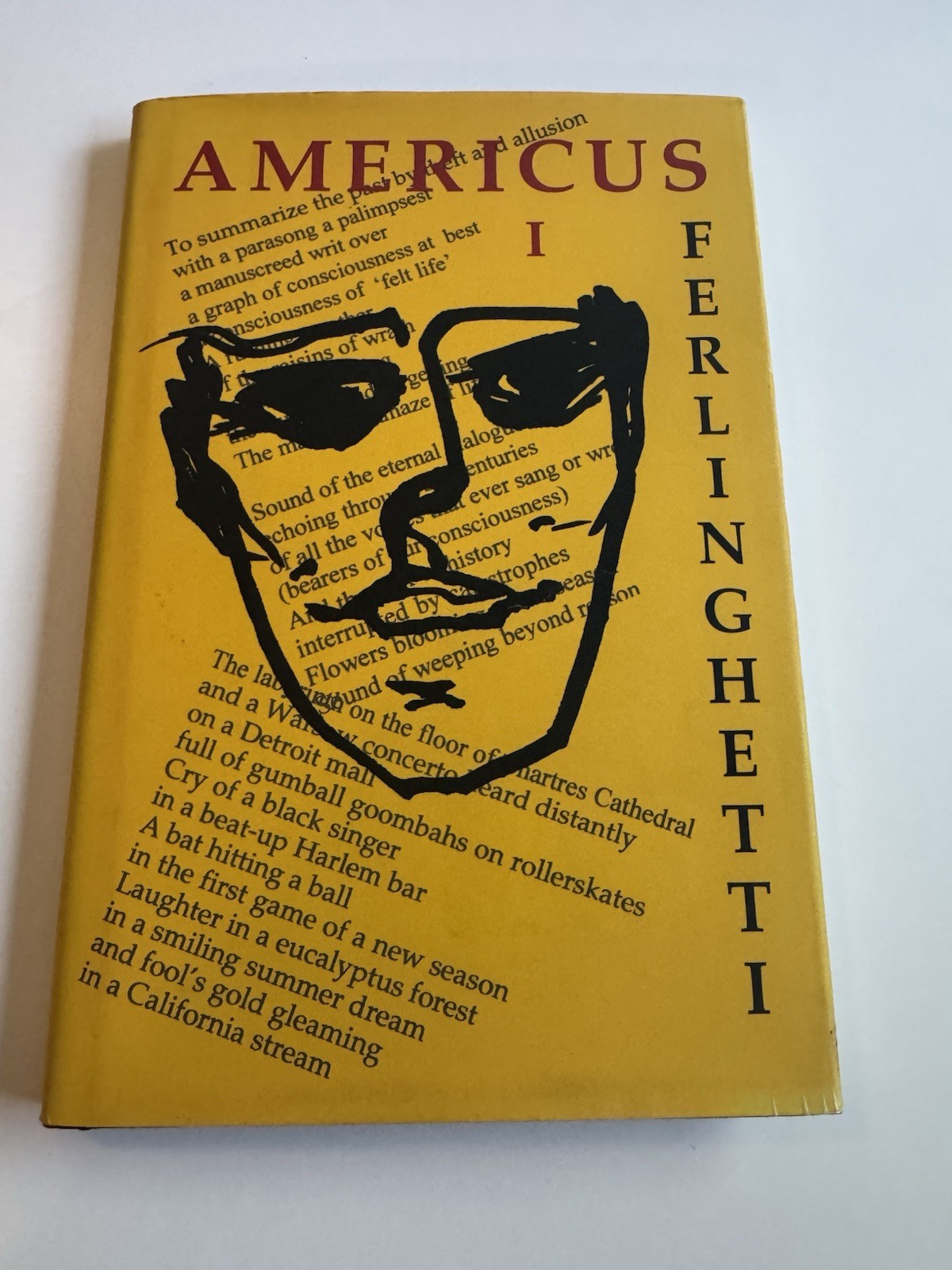 Americus Book I – Lawrence Ferlinghetti – HCDJ VG – Poetry