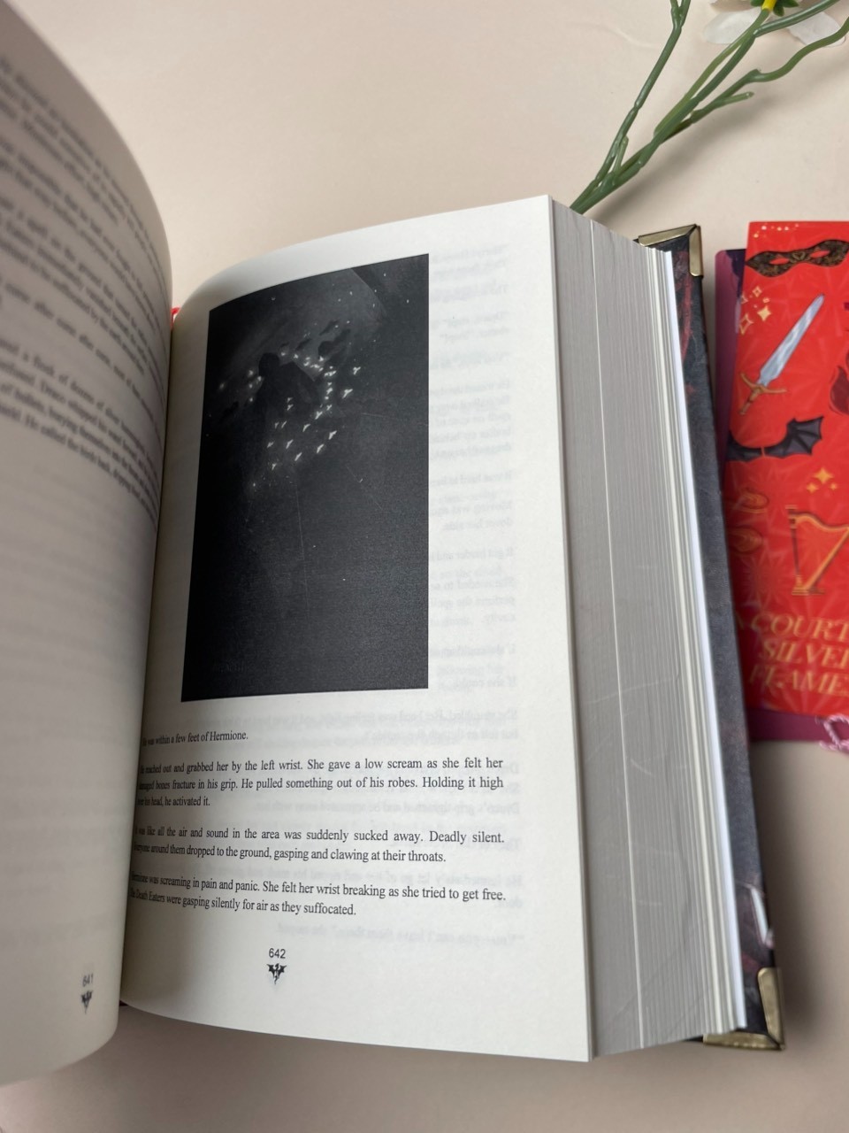 Manacled Illustrated Special Edition – Limited edition hardcover book/novel