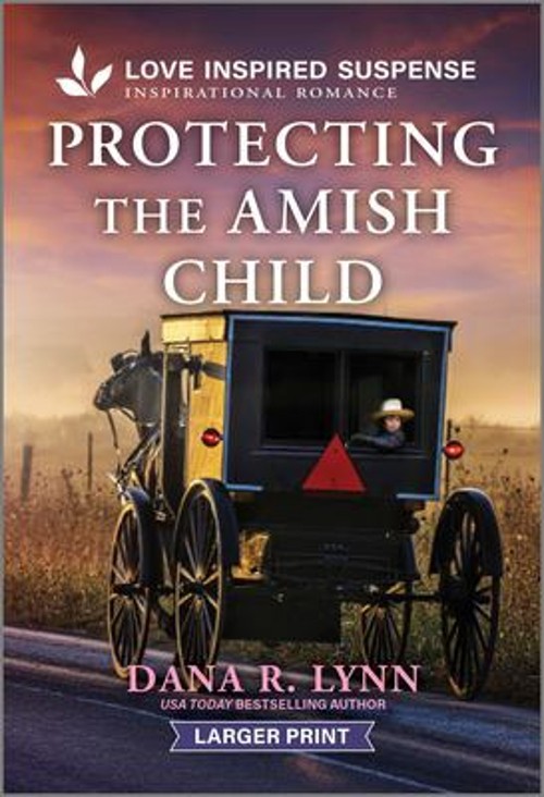 Protecting the Amish Child Mass Market Paperbound Dana R. Lynn