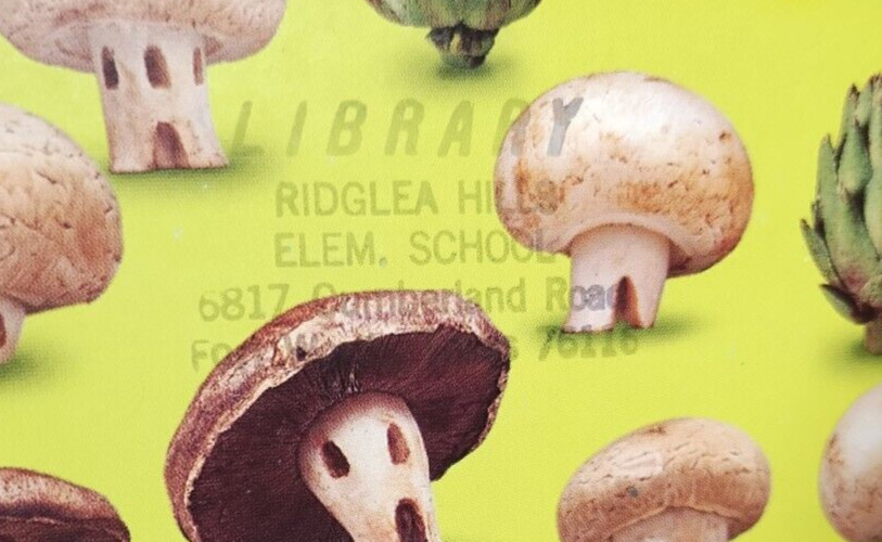 Gus & Button Freymann Elffers HB Scholastic Juvenile Fiction Picture Book Good