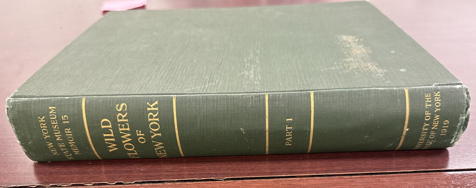 Wildflowers Of New York Part One 1918 Original Edition