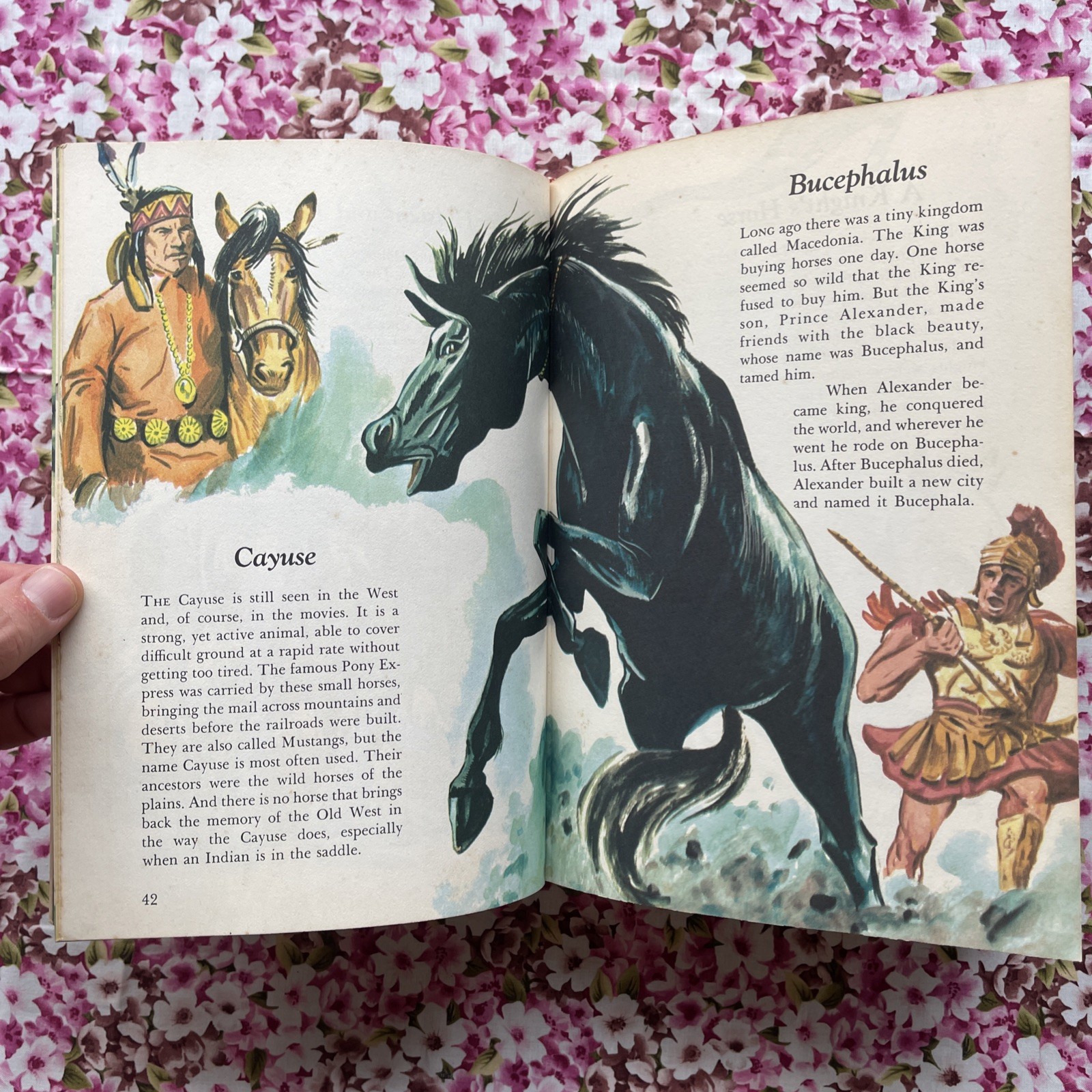 Children’s Guide to Knowledge Parents’ Magazine Press (1974 VTG Illustrated HC)