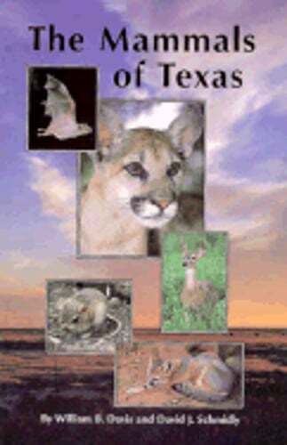 The Mammals of Texas by William B Davis: Used