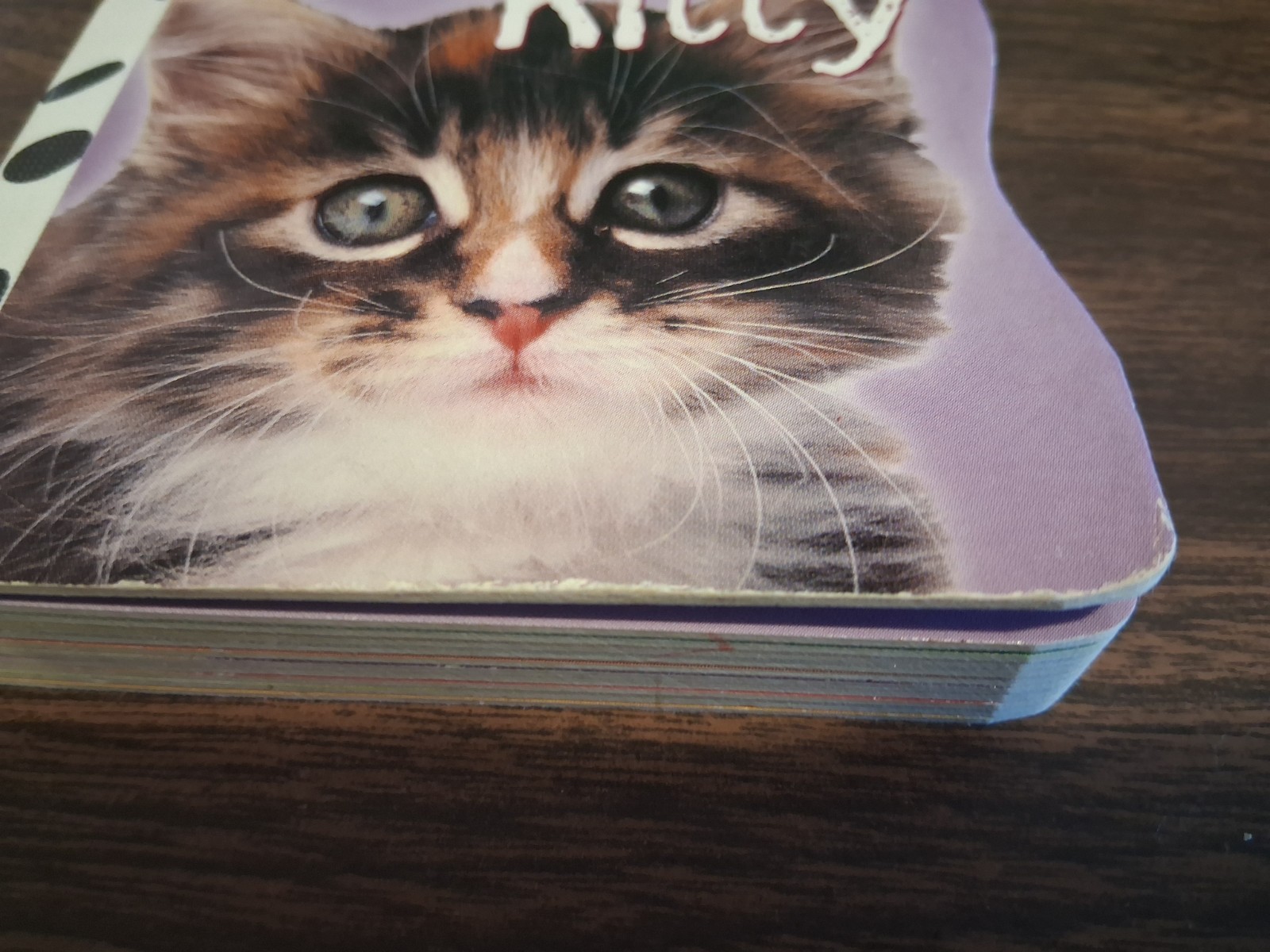2002 PRETTY KITTY BOOK by K.R. KNIGHT, DALMATIAN PRESS, 20 PAGES