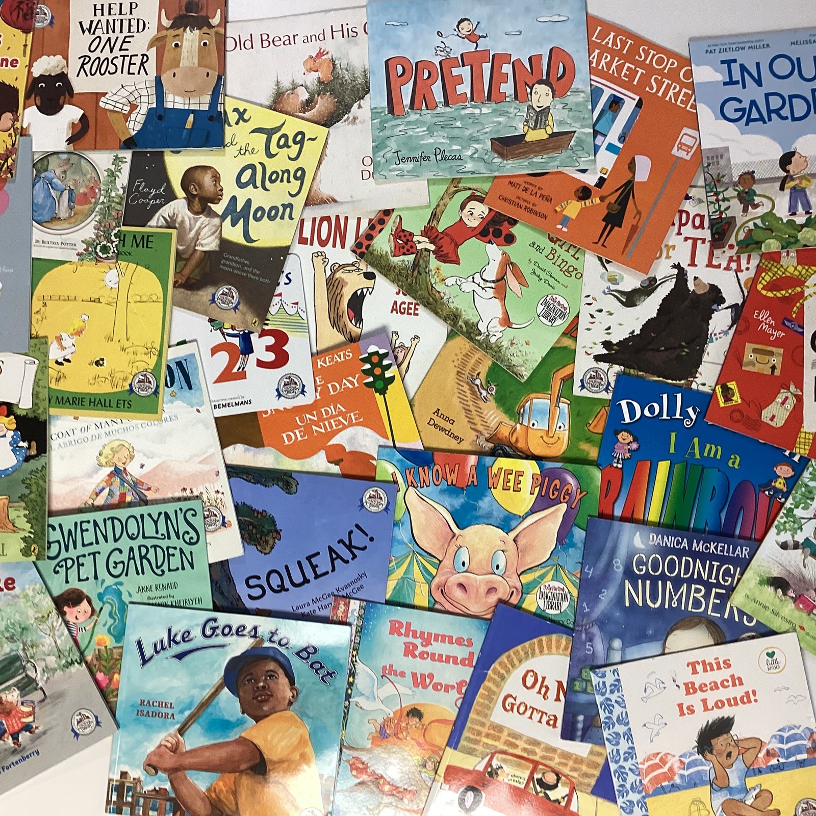 Picture Story Dolly Parton Imagination Library Day Care 20 Random Books Lot