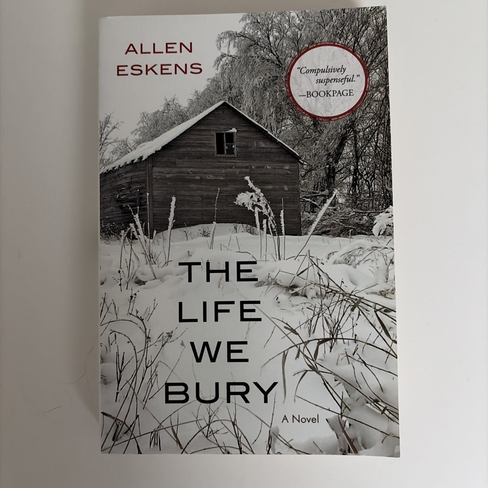 Life We Bury by Not Available (2014, Trade Paperback)