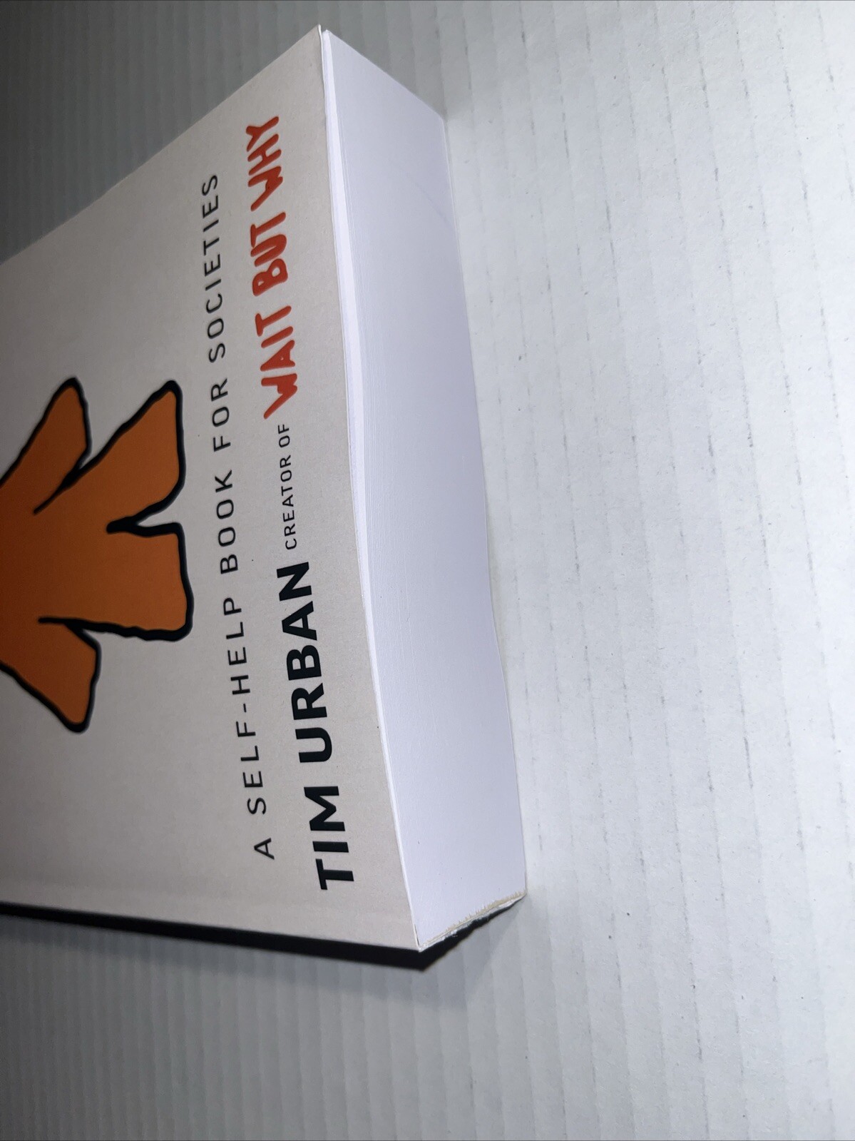 What’s Our Problem? A Self- Help Book For Societies By Tim Urban