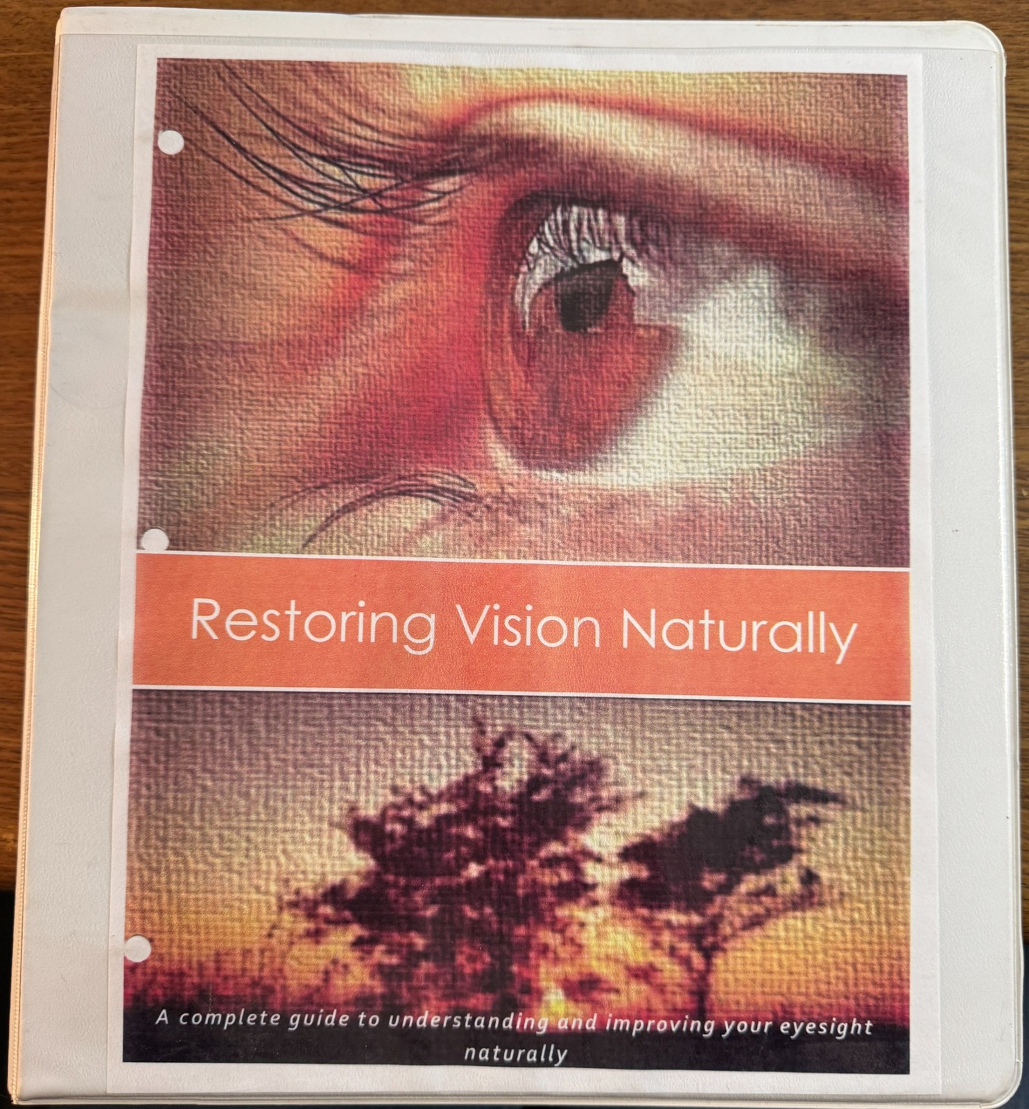 Restoring Vision Naturally * 2014 Binder 150 + pages * Natural Health