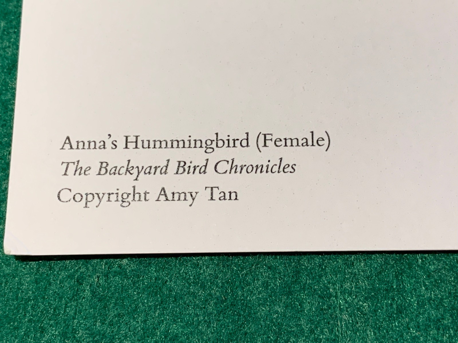 The Backyard Bird Chronicles Amy Tan SIGNED BOOKPLATE w/ Postcard 4th Print 2024