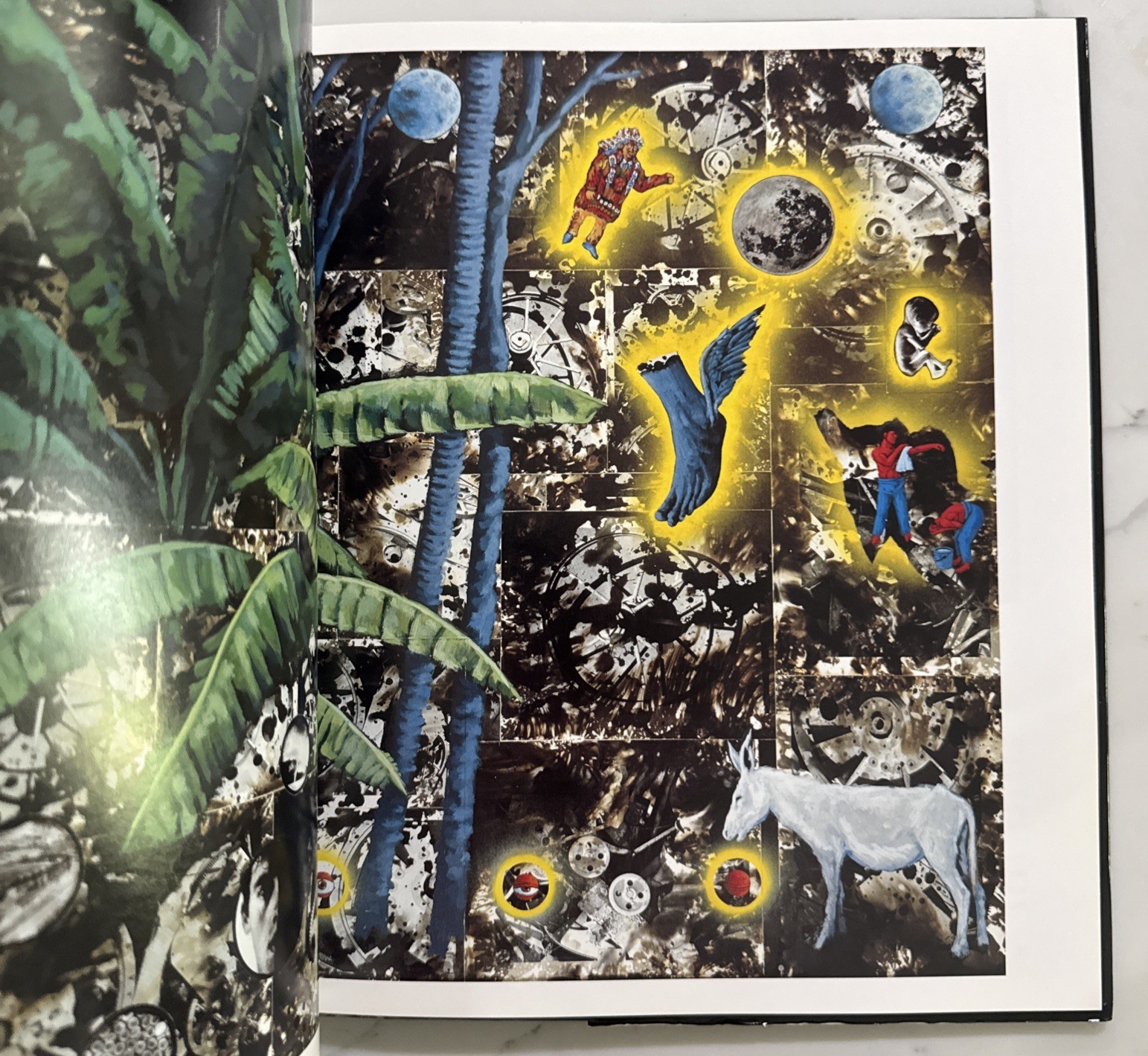 David Wojnarowicz : Brushfires in the Social Landscape (Hardcover, 1st/1st 2002)