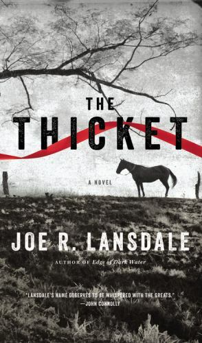 The Thicket by