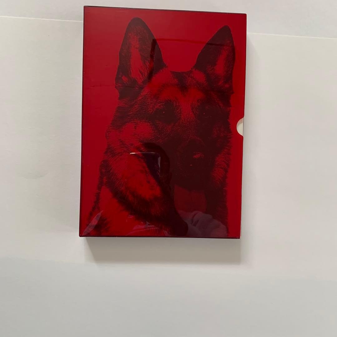 SAGMEISTER Art Book Dog Illustration Red 2001 11×6.7in 286 Pages