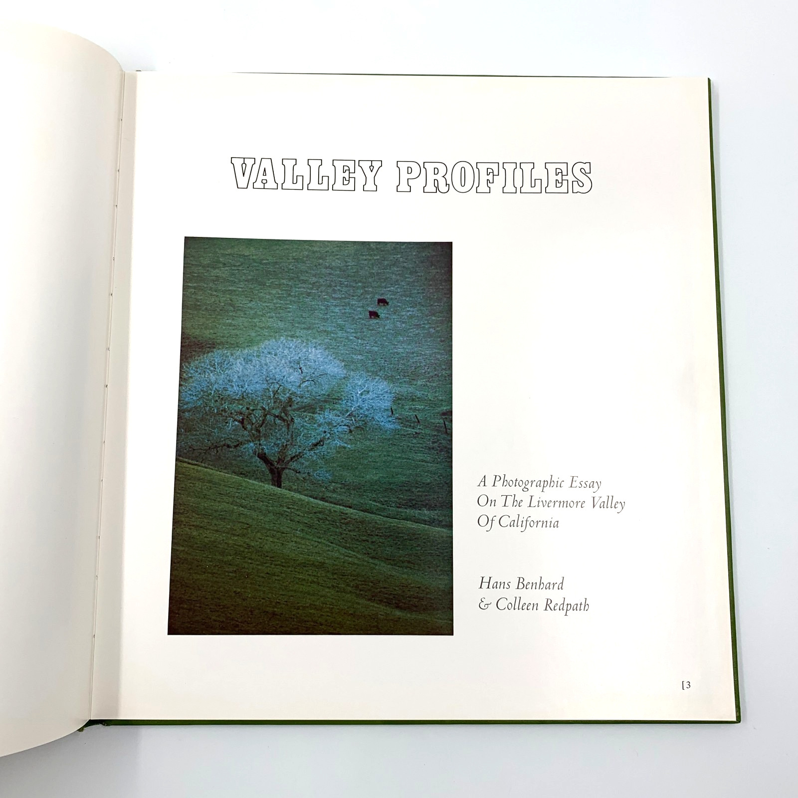 Valley Profiles – by Hans Benhard & Colleen Redpath – SIGNED Vintage HC 1977