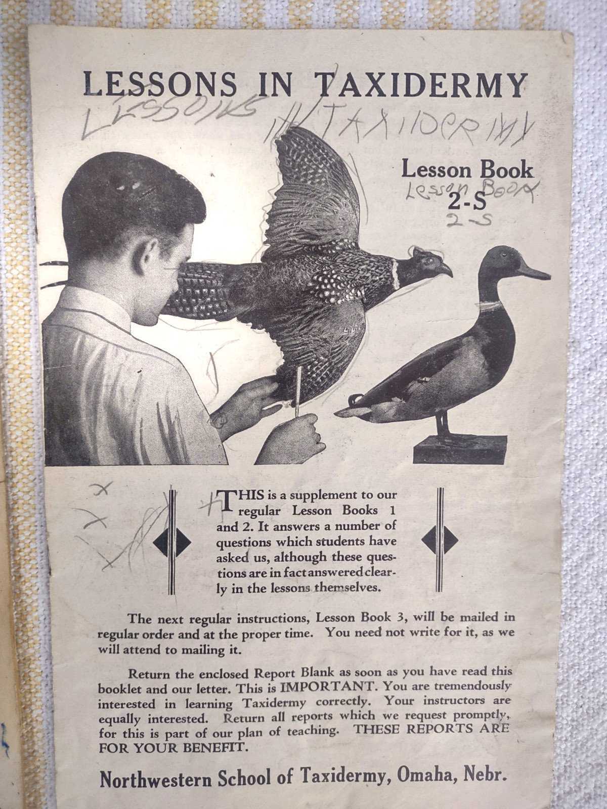Northwestern School Of Taxidermy Lessons In Taxidermy Books 6, 7, 8, 11 Ephemera
