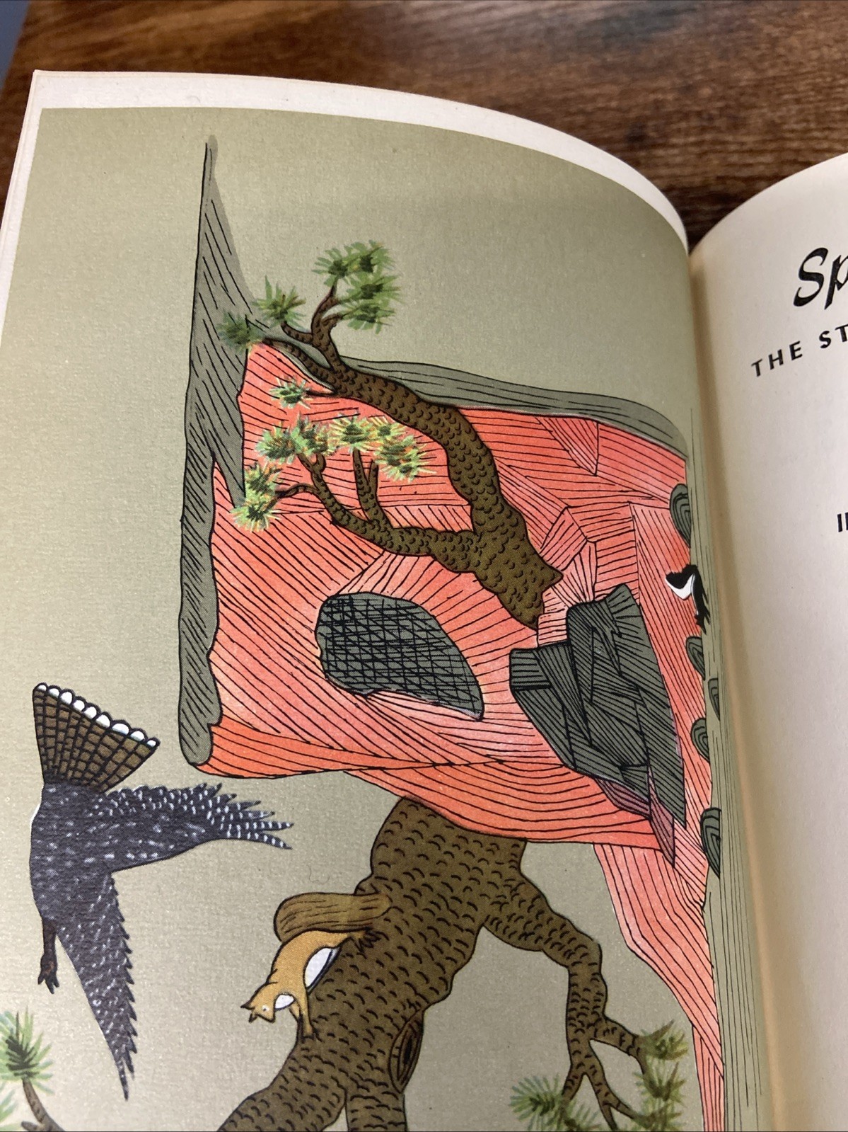 Spin a Silver Dollar by Alberta Hannum (Hardcover, 1946) Yazz Illustrations
