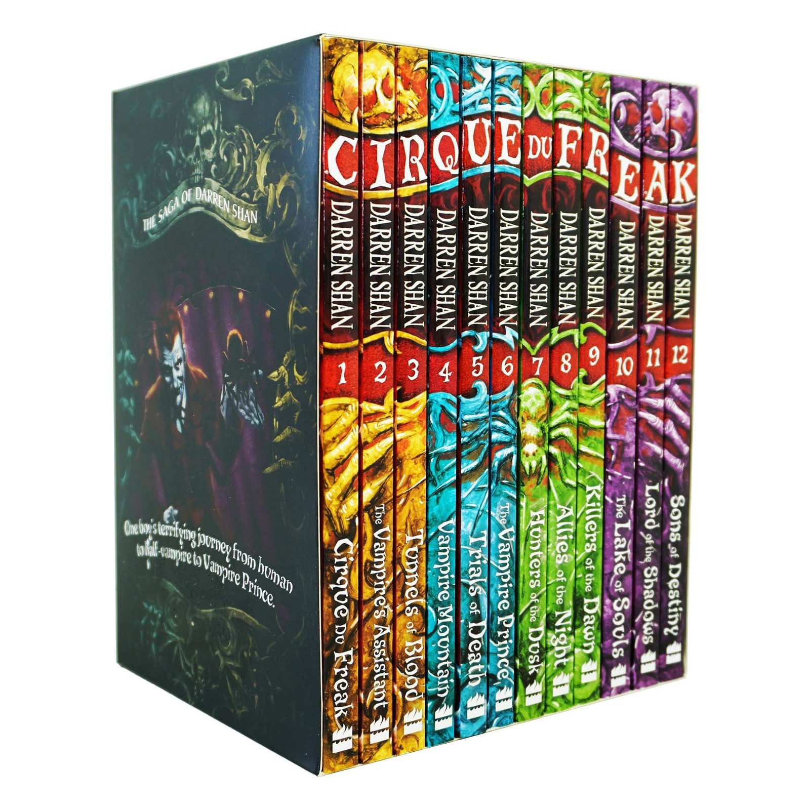 The Saga of Darren Shan 12 Books Collection Set – Ages 9-14 – Paperback