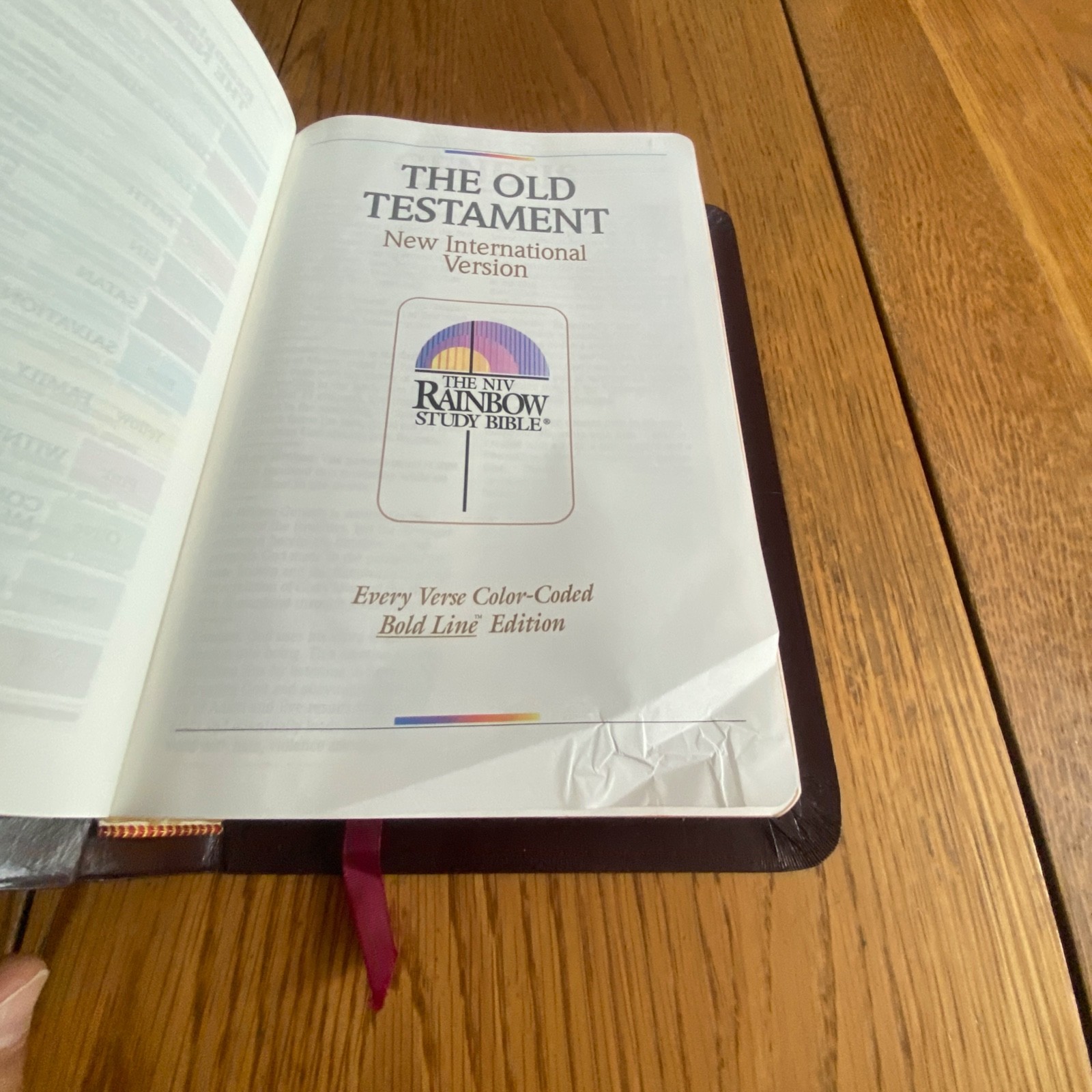 The NIV Rainbow Study Bible Bold Line Edition Burgundy