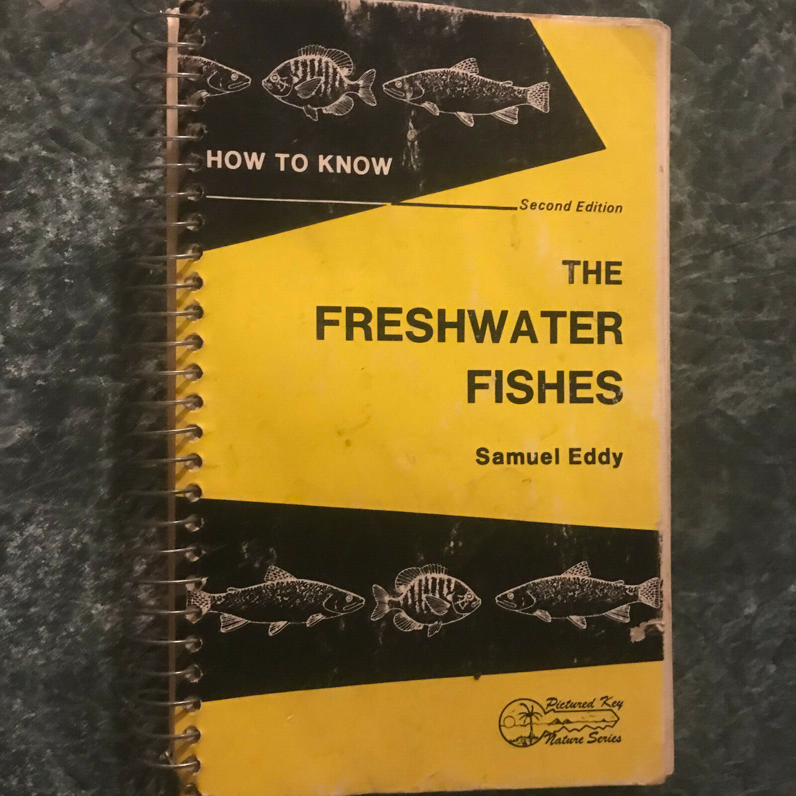 How To Know The Freshwater Fishes by Samuel Eddy, Spiral bound, 1975, 286 pages