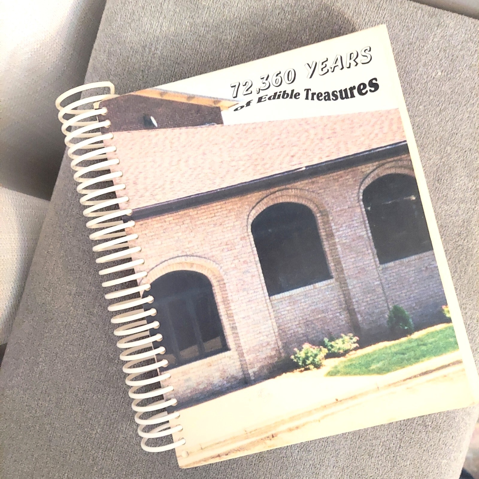 Vtg Hands Inc Edible Treasures Community Cookbook Cooking Recipes 600+ Pages