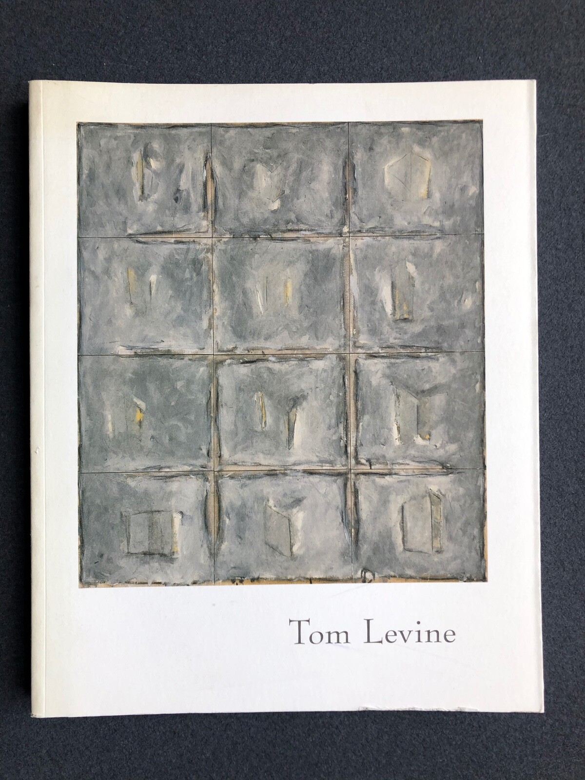 Tom Levine: Paintings and Drawings Essay John Yau Interview Phillip Yenawine