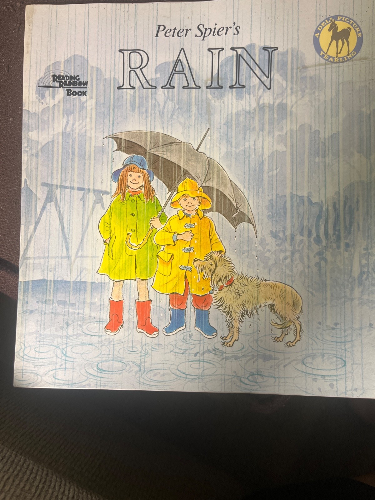 Peter Spier’s Rain. Paperback