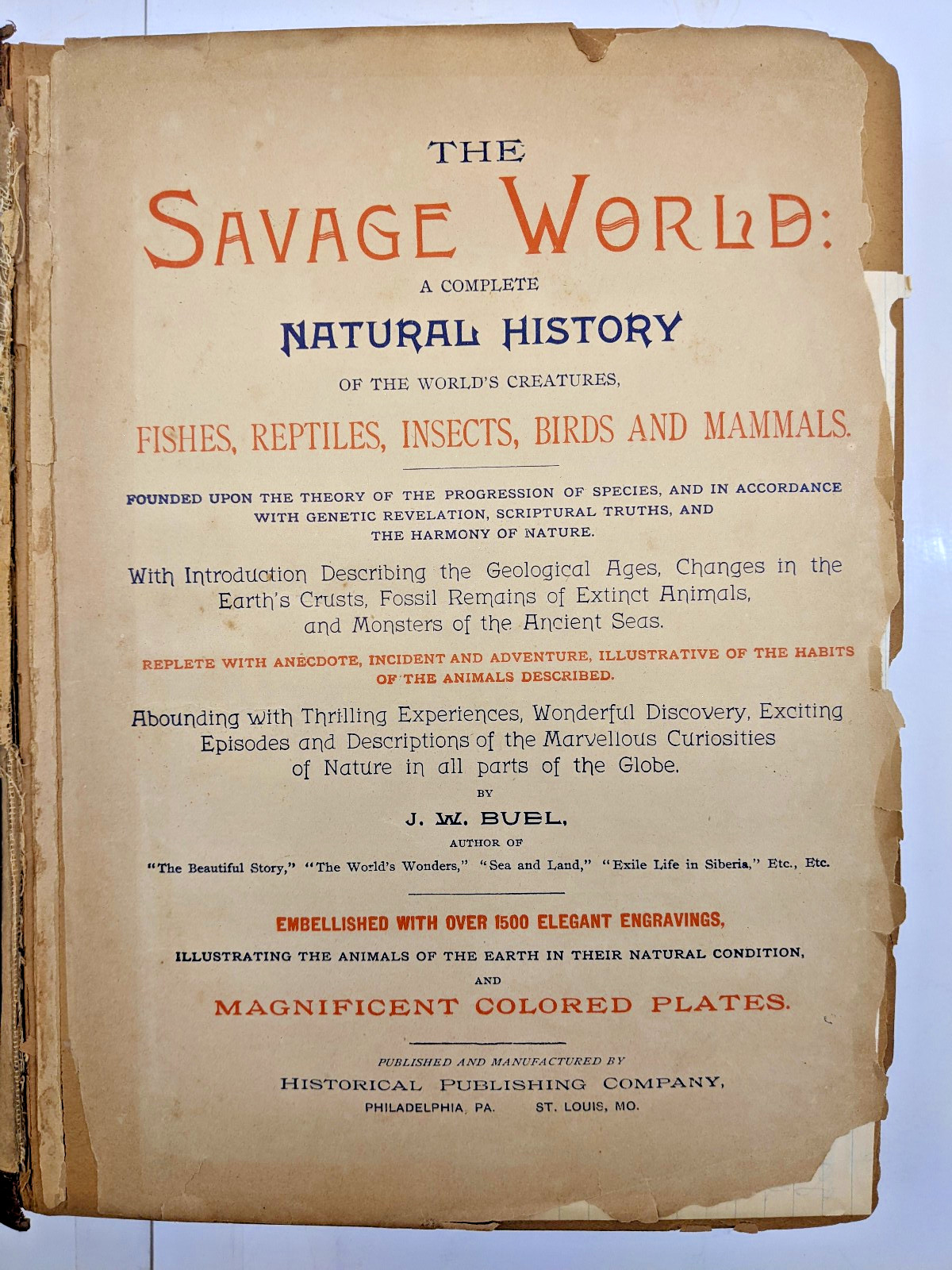 The Savage World A Complete Natural History J.W. Buel (1891, HC) 1st Eds Book