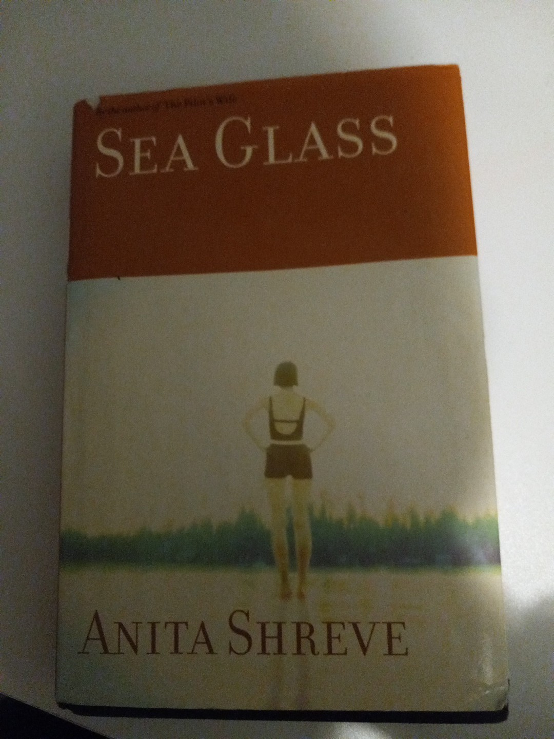 Sea Glass by Anita Shreve (2002, Hardcover)