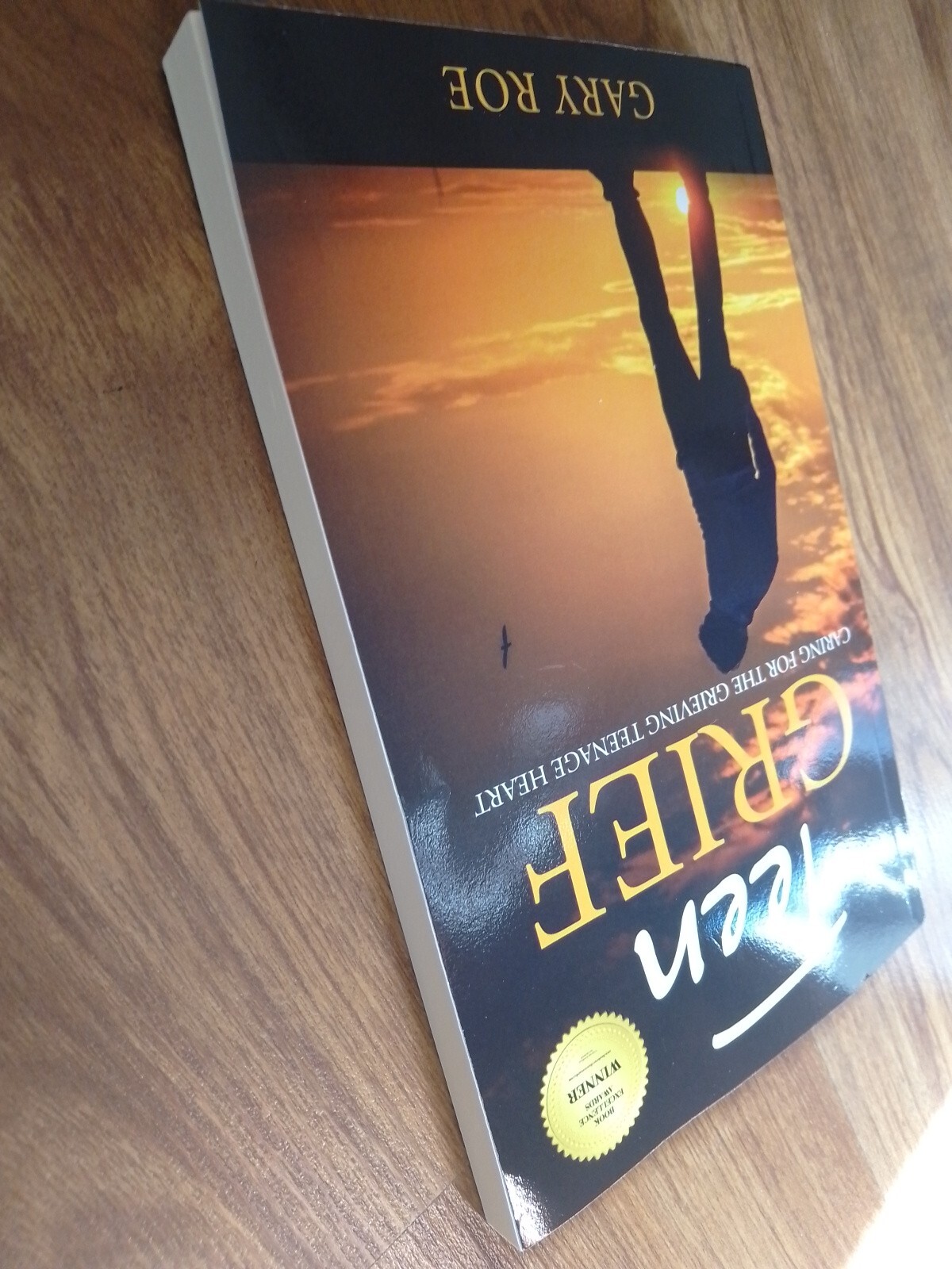 Teen Grief , Gary Roe , Papper Back , Brand New.B1