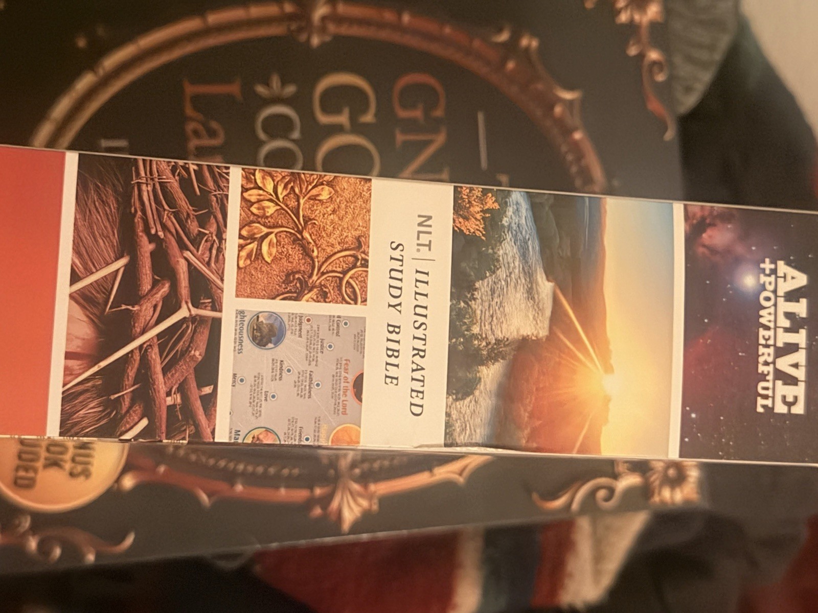 Illustrated Study Bible by New Living Translation (2015, Imitation Leather)