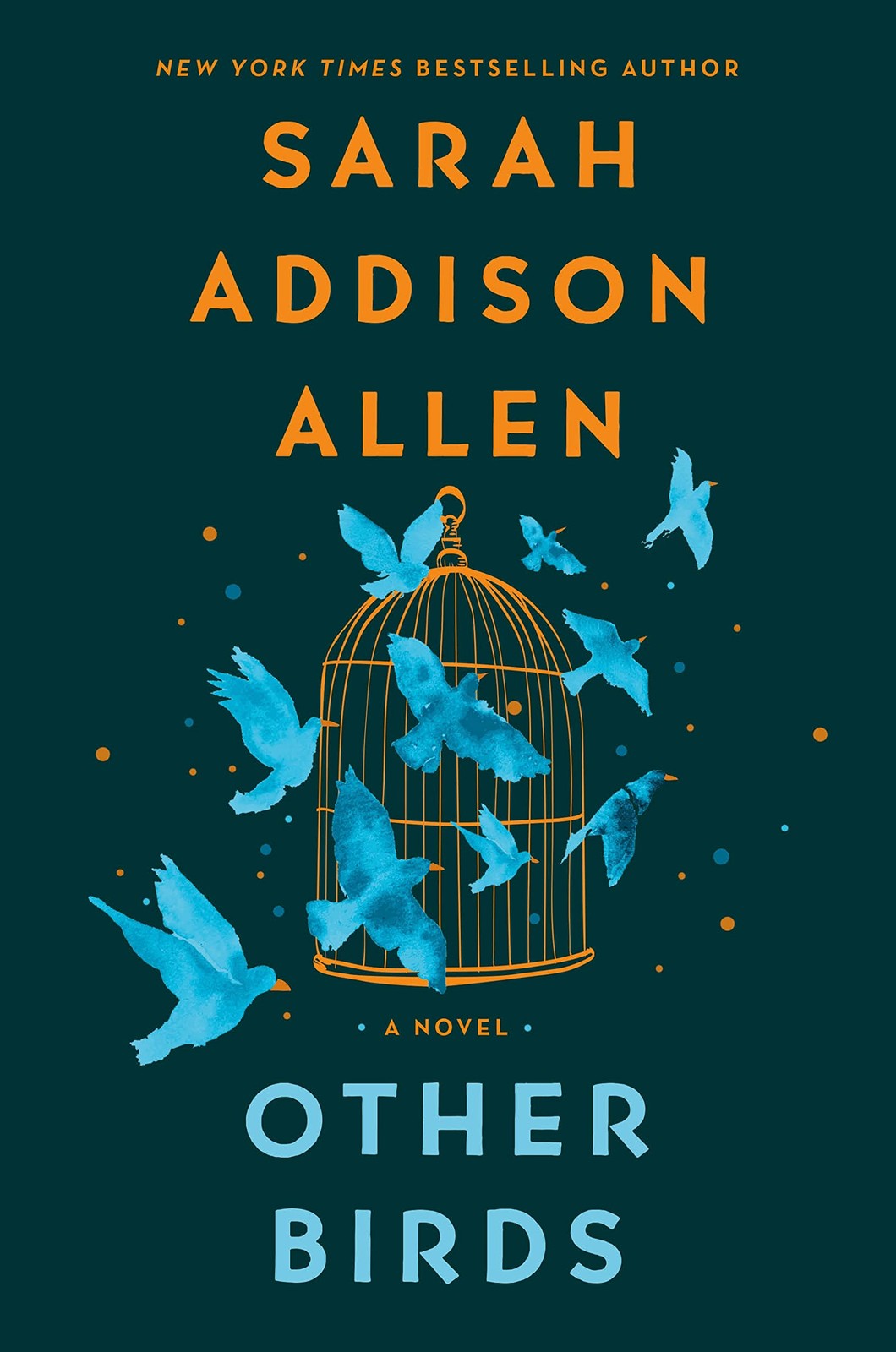 Other Birds (International Edition) – paperback Allen, Sarah Addison