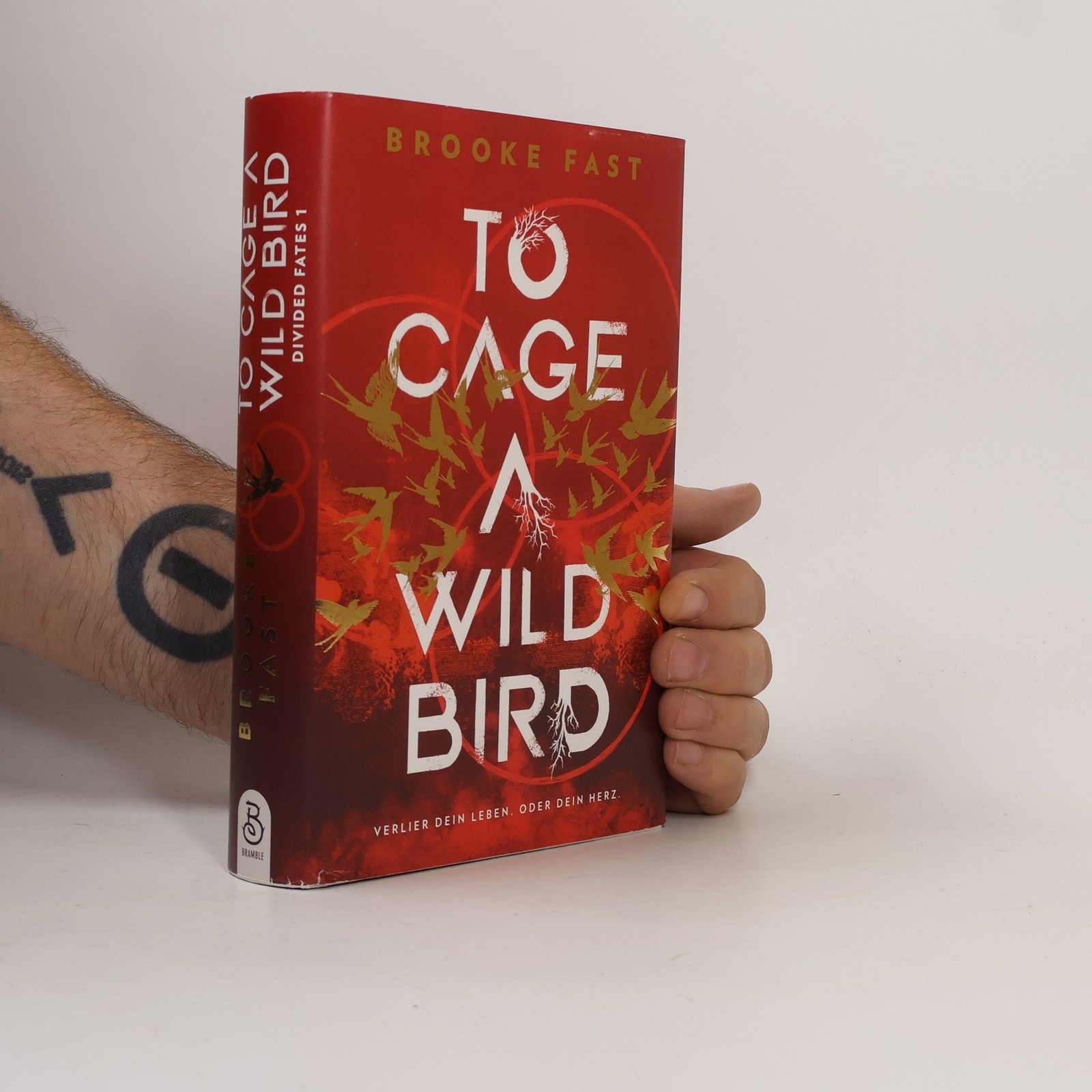 To Cage a Wild Bird  |  Brooke Fast