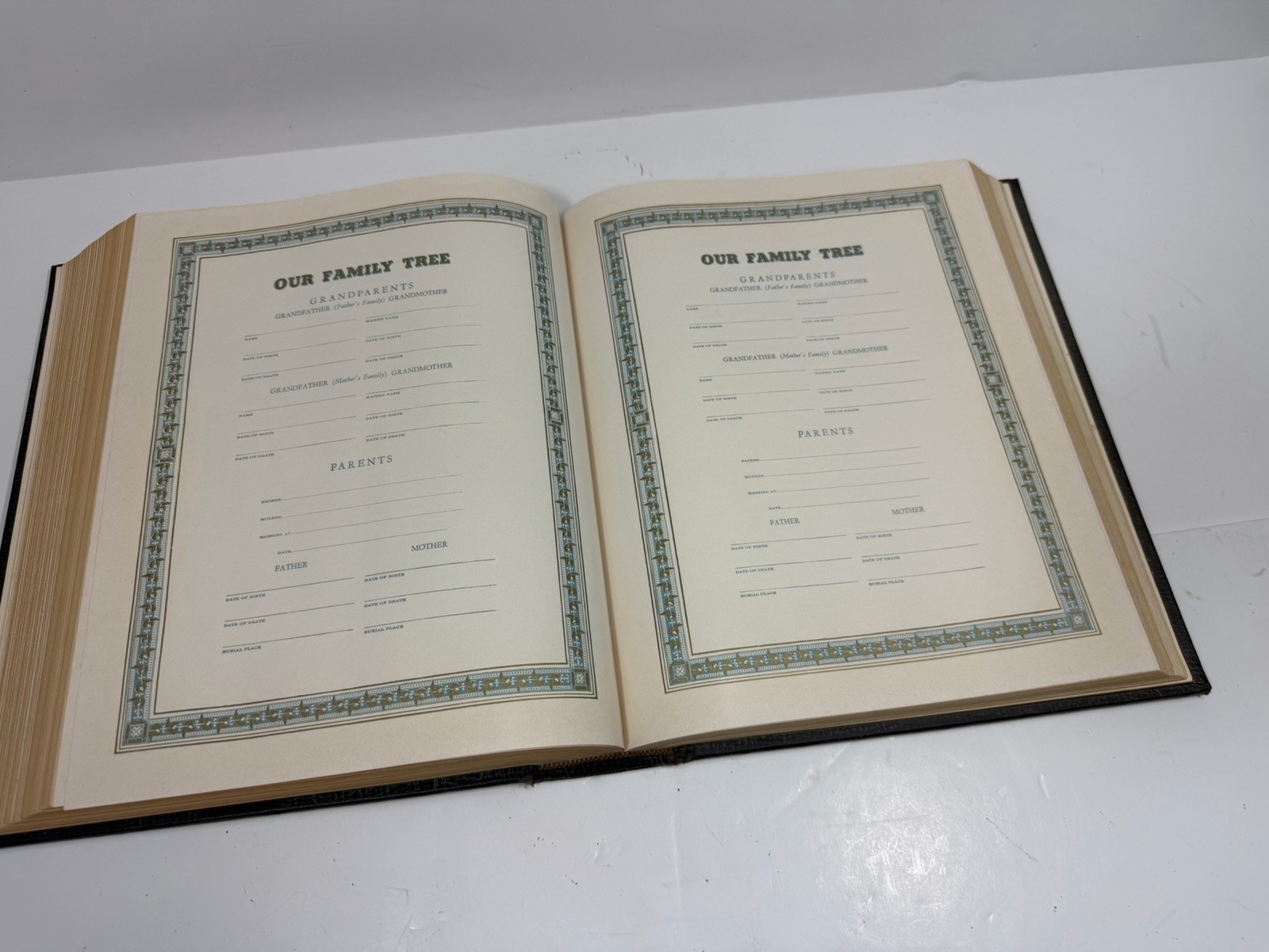 Vintage Holy Bible Self Pronouncing Edition Old & New Testament’s