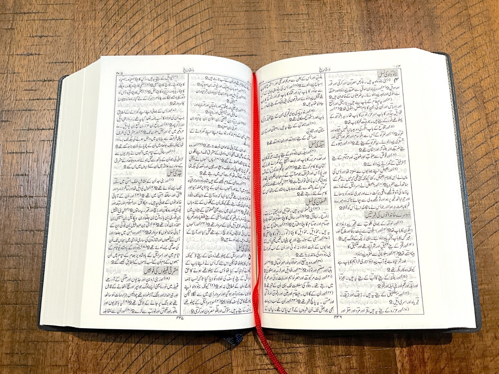 URDU Bible, Persian Script, Compact Black and Gold Vinyl Cover