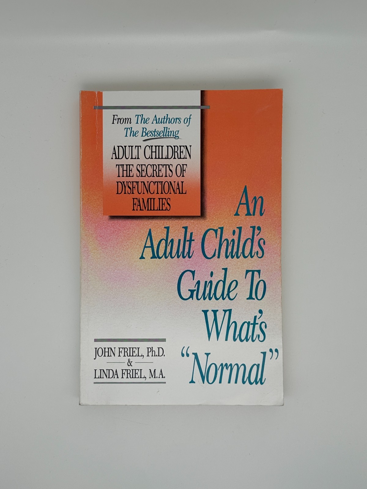 An Adult Child’s Guide to What’s ‘Normal’ – Paperback
