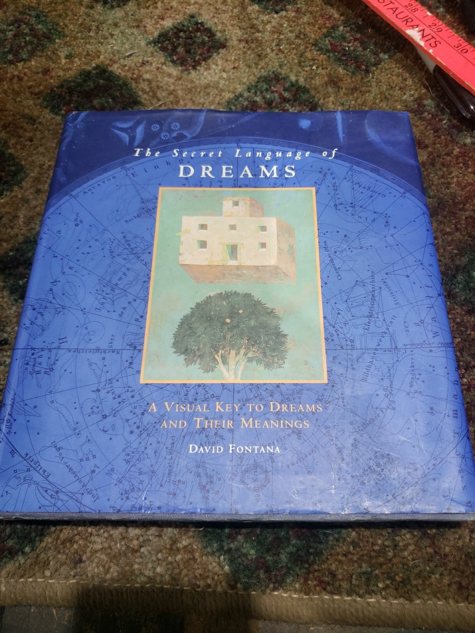 The Secret Language of Dreams by David Fontana