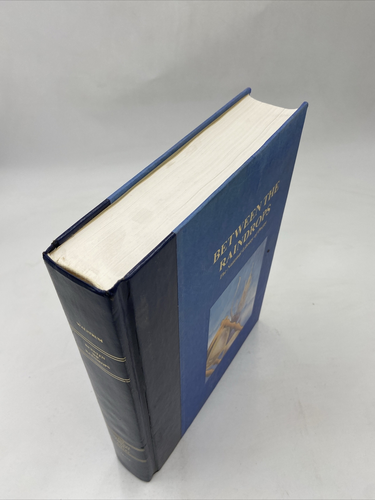 BETWEEN THE RAINDROPS The National Library of Poetry Nicole Walstrum 1995 HC