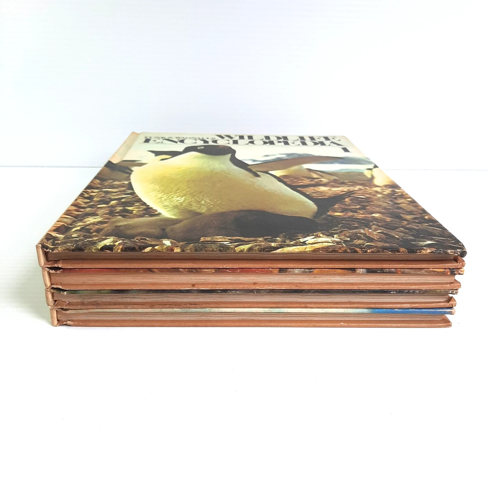 Funk & Wagnalls Wildlife Encyclopedia Volumes 1, 2, 3, 8 Lot Dr. Maurice Burton