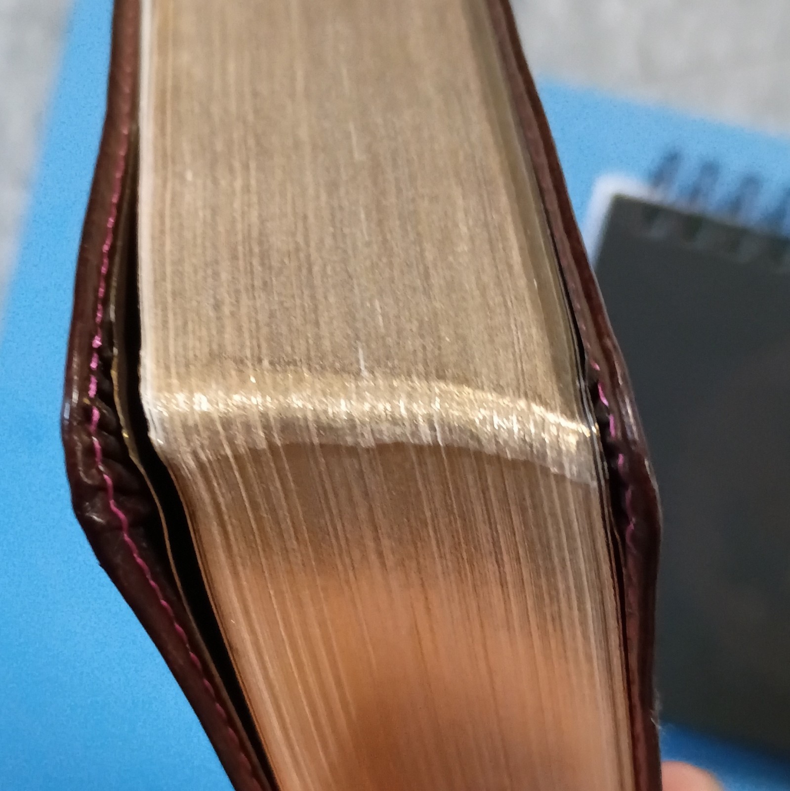 Holman NIV Rainbow Study Bible Saddle Brown Leather Touch Cover Gilded Pages