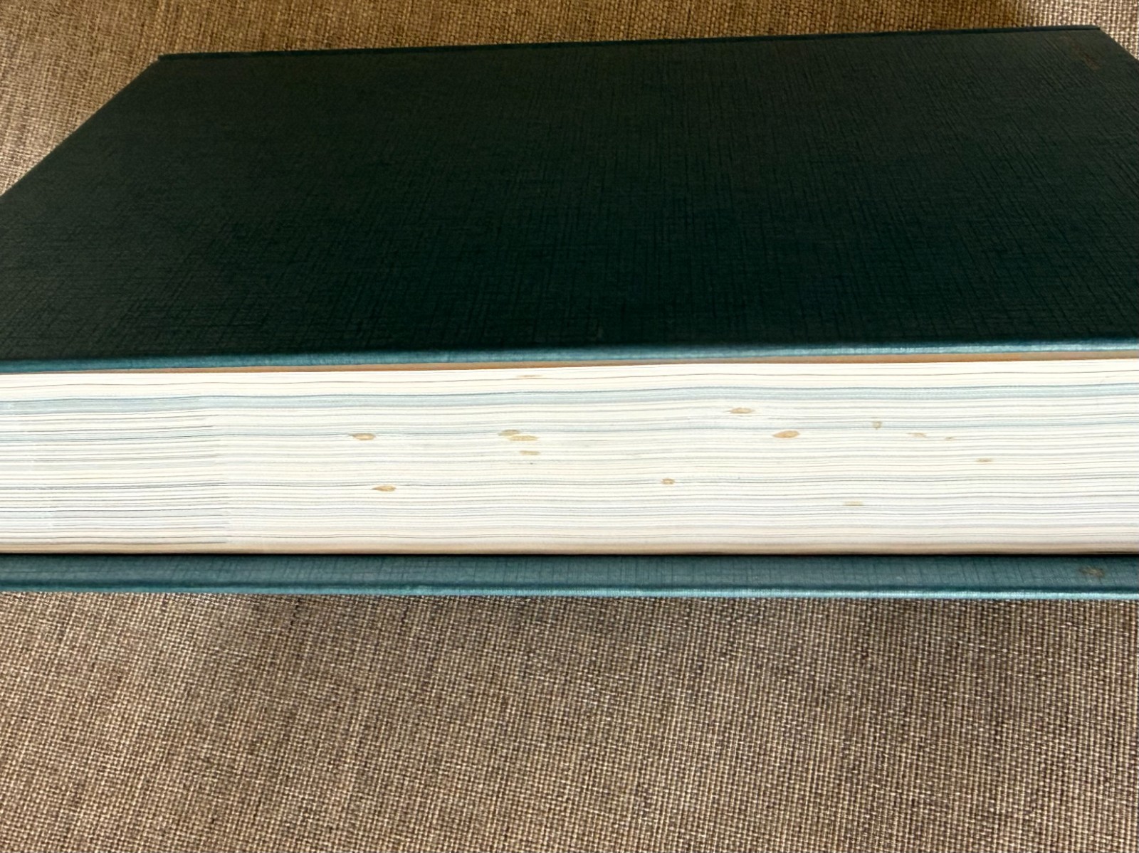 Beyond Suffering Bible NLT, Hardcover, Where Struggles Seem Endless God’s Hope