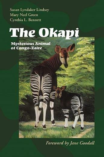 The Okapi: Mysterious Animal Of Congo-Zaire