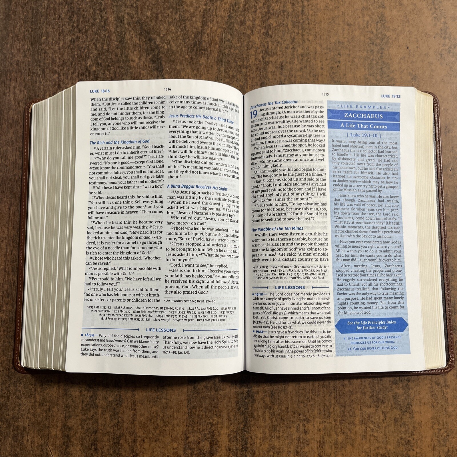 NIV Charles Stanley Life Principles Study Bible – Brown Genuine Leather – $160