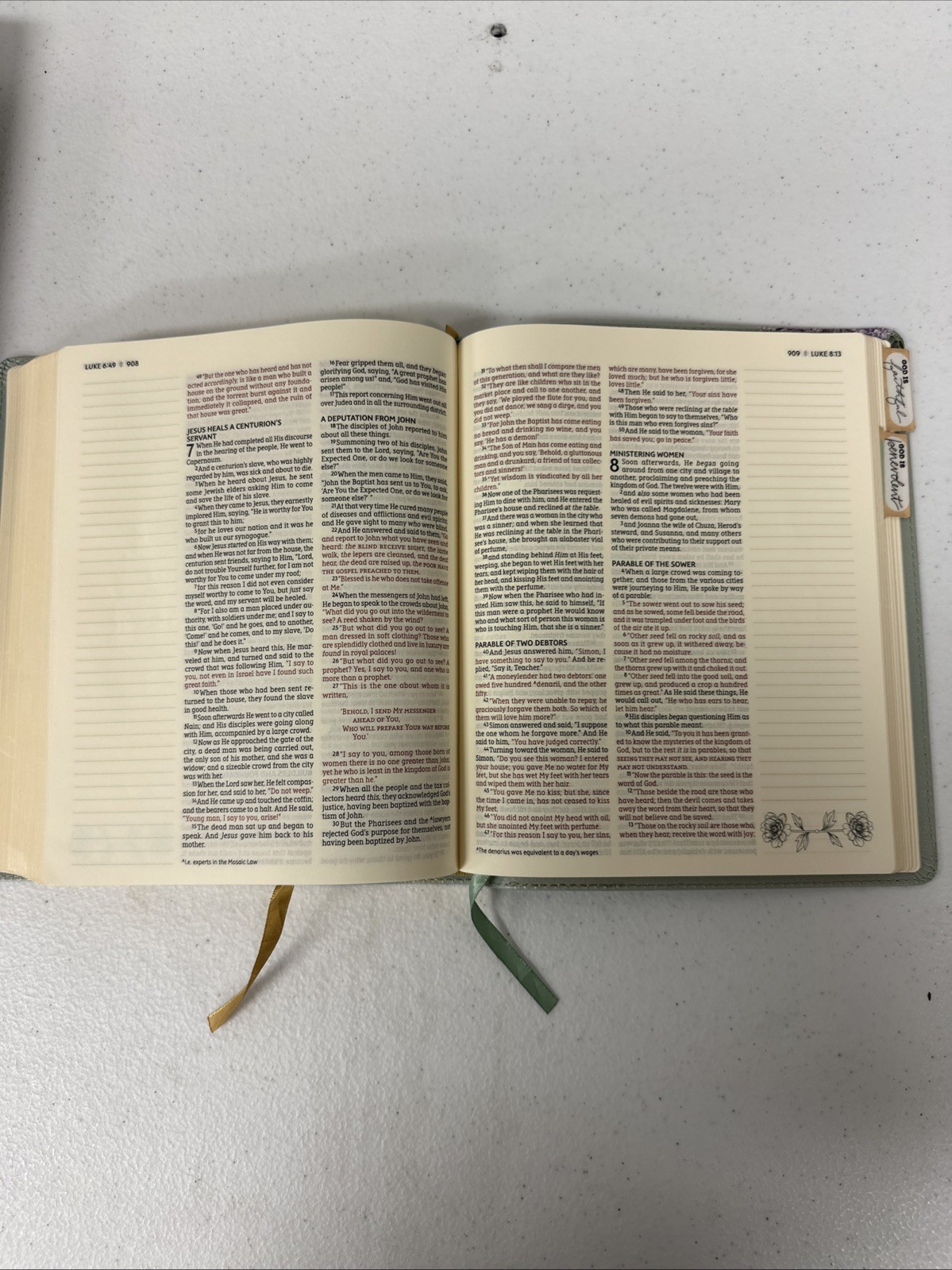 NASB, Artisan Collection Bible, Large Print, Leathersoft, Sage Floral, Red