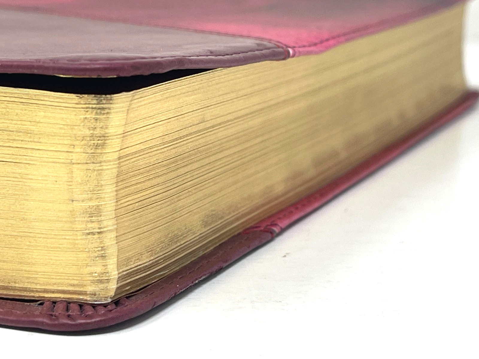 Holman Rainbow Study Bible 2015 NIV Red Watercolor Every Verse Color Code