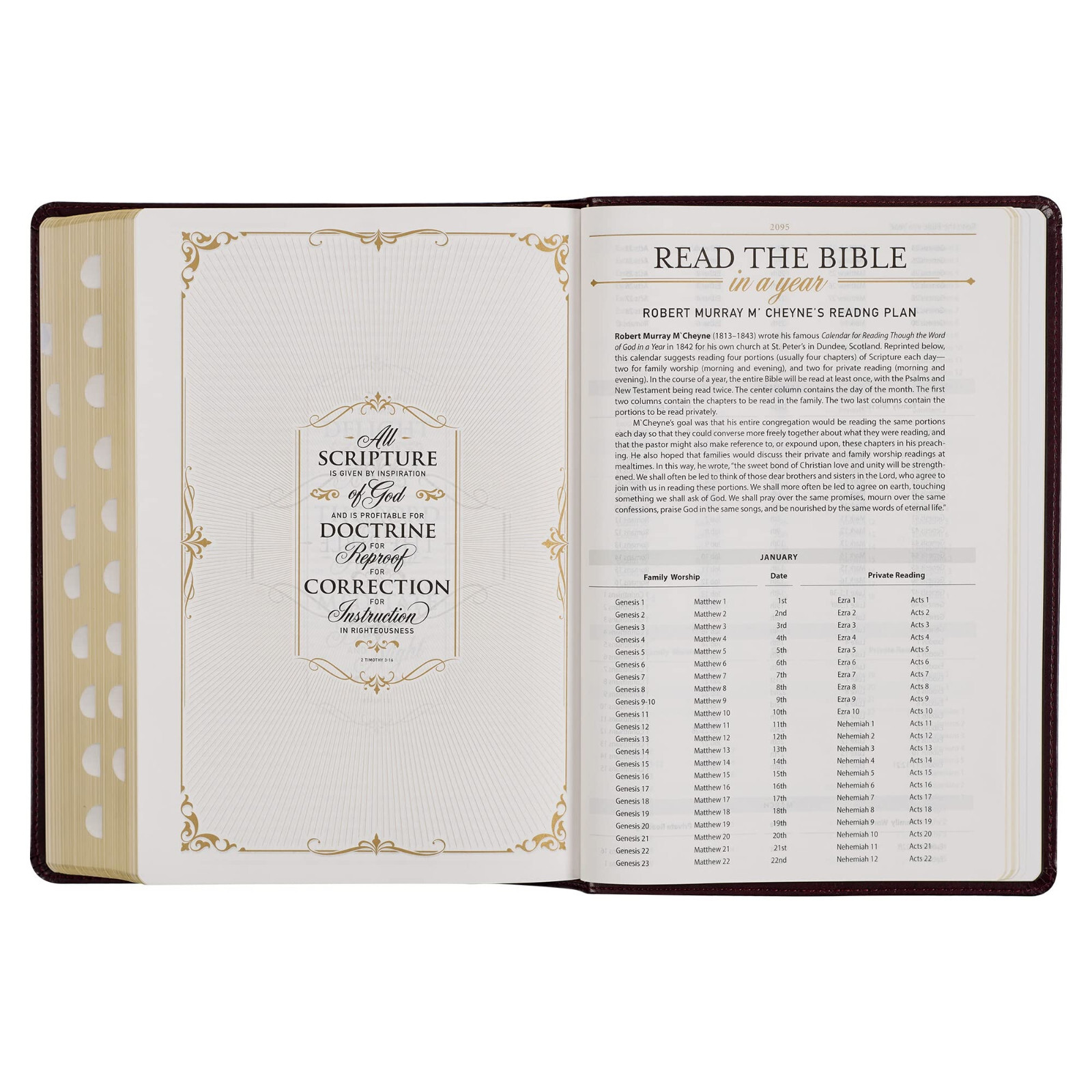 KJV Study Bible Large Print Thumb Indexed 2 Ribbons BRAND NEW in Shrink Wrap!!!
